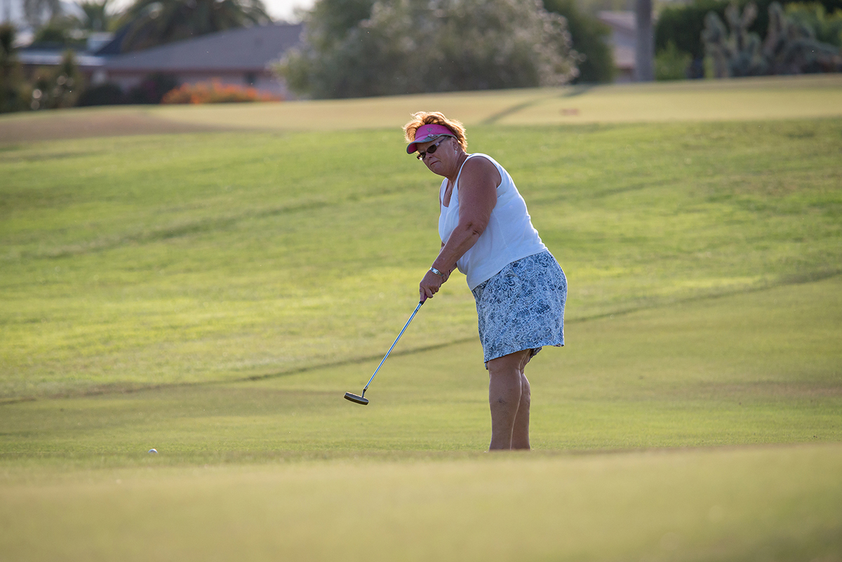 Willowbrook Golf Course Sun City, Arizona The Original Fun City!