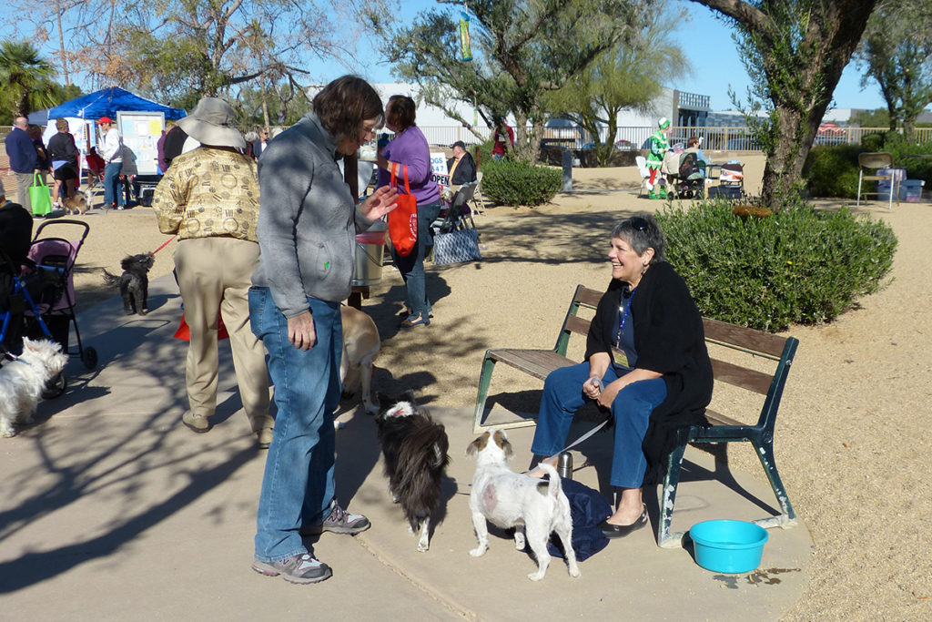 Duffeeland Dog Park Recreation Center