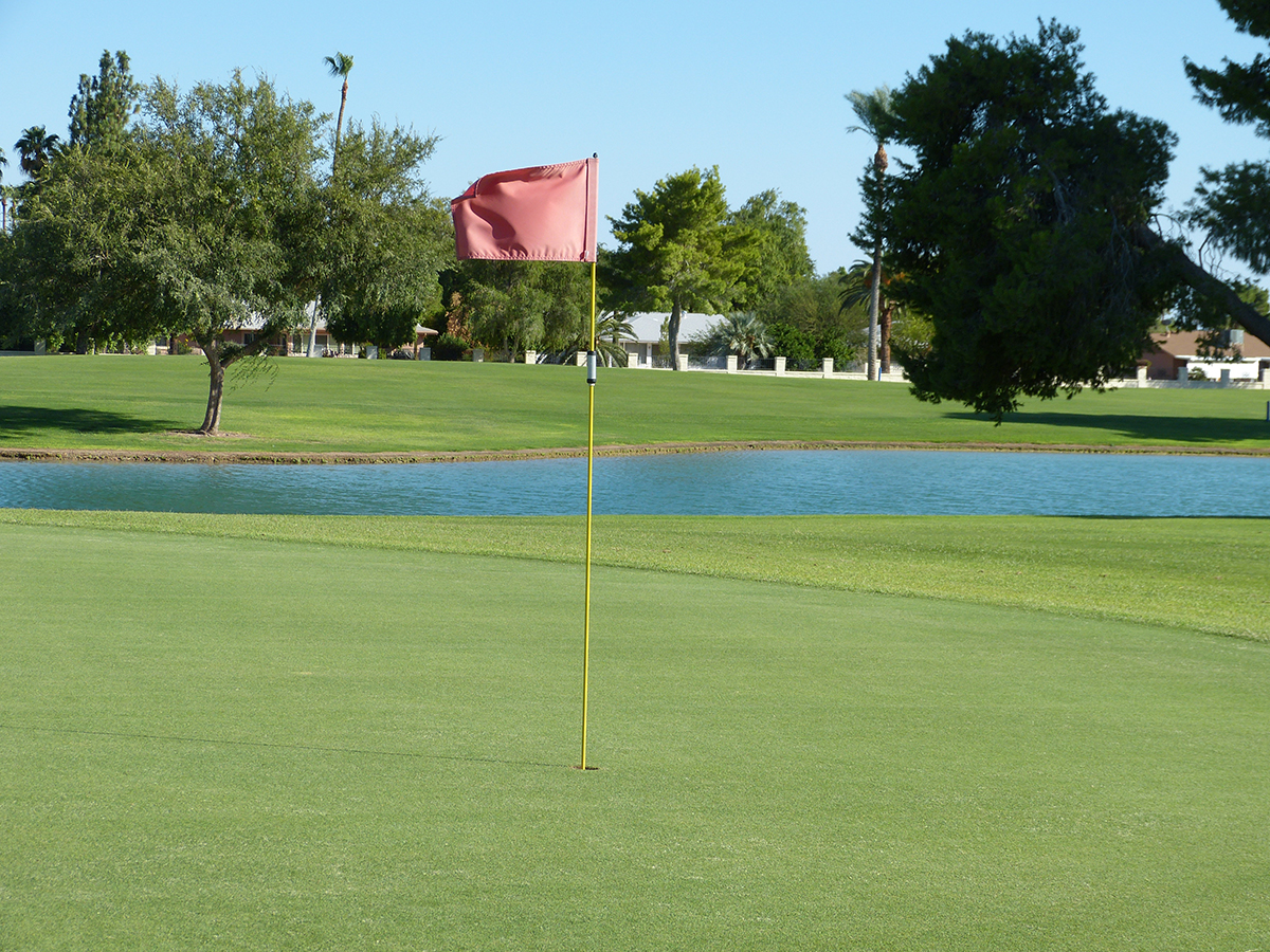 Golfing Recreation Sun City Arizona