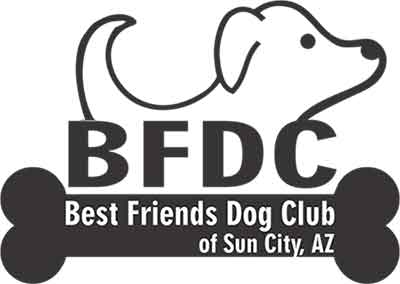 bfdc-logo