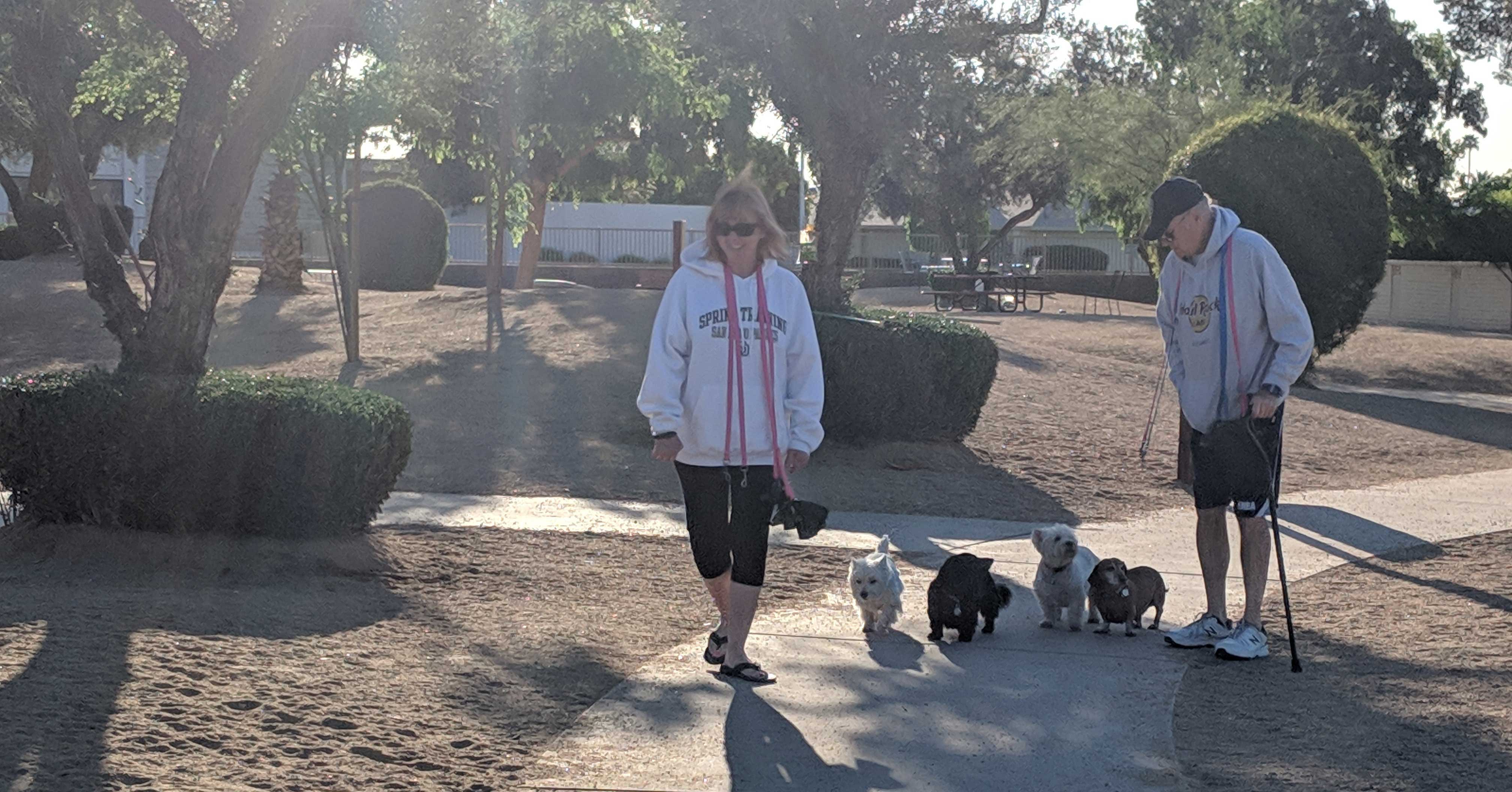 2019-08-02-A-Walk-in-the-Park